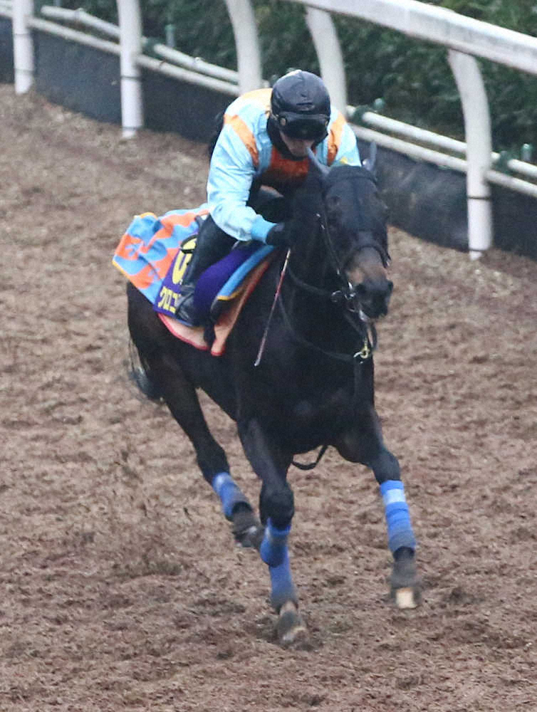 【画像・写真】【有馬記念】クロコスミア　4F54秒0!満足締めに自信大