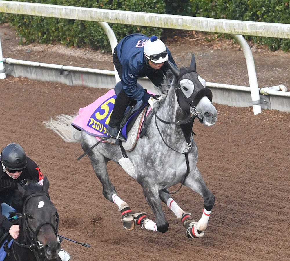 【画像・写真】【有馬記念】アエロ　4F53秒0に笑顔「我慢できていい調教になった」