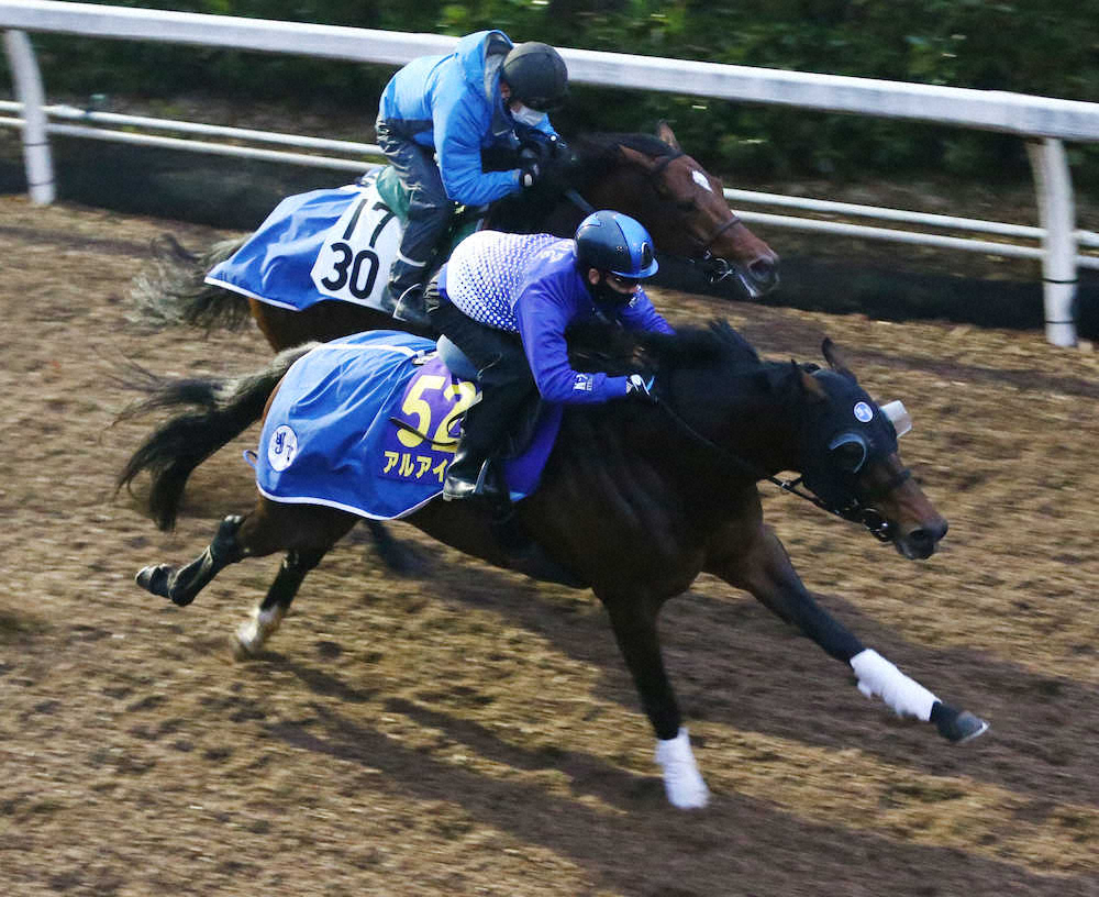 【画像・写真】【有馬記念】アルアイン　軽く首差先着!反応良し前へ前へ