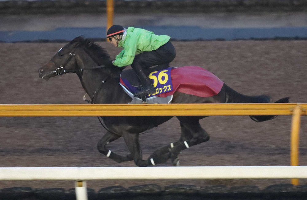 【画像・写真】【有馬記念】3冠惜敗の分も!ヴェロックス　初タイトルへ1F11秒台の切れ