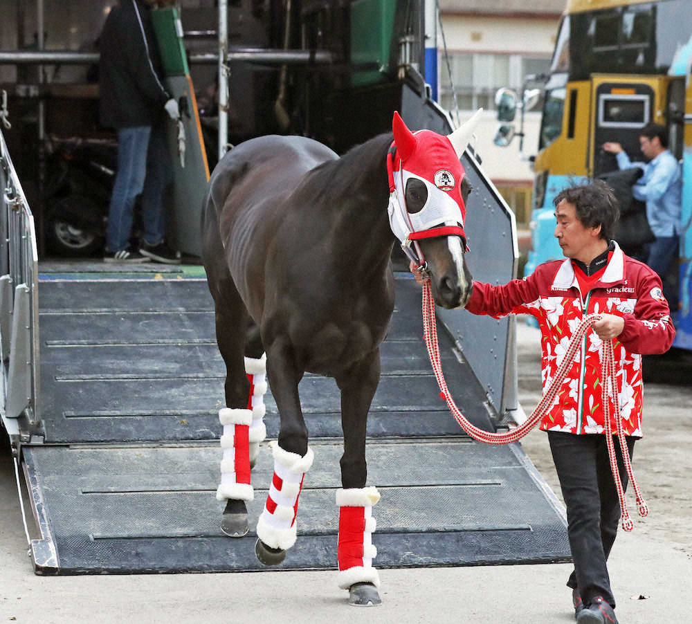 【画像・写真】【有馬記念】（6）リスグラシュー　精神的にも成長