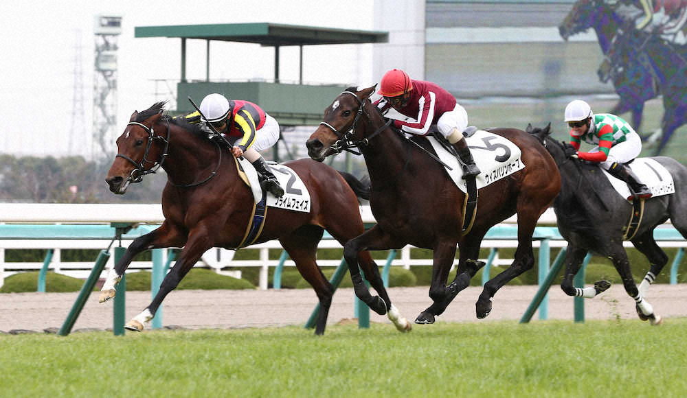 【画像・写真】【阪神新馬戦】プライムフェイズ、好位抜け出しV　北村友「しっかり走ってくれた」