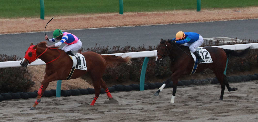 【画像・写真】【中山新馬戦】キングスバーンズ、2番手から押し切り！ムーア「上のクラスでも通用する」