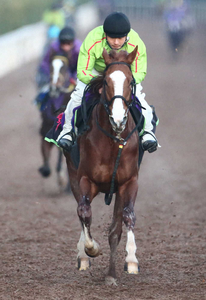 【画像・写真】【東京大賞典】ケイティブレイブ　軽快な動き披露「順調です」
