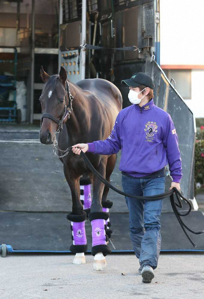 【画像・写真】【ホープフルS】（13）ラインベック　みなぎるパワー　