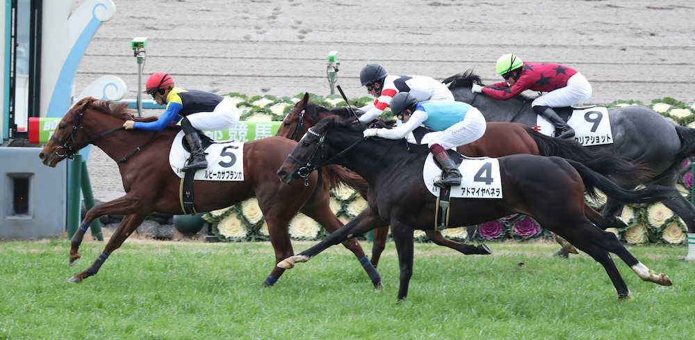 ＜京都6R新馬戦＞2着に3/4馬身差で勝利しデビュー戦を飾ったルビーカサブランカ（左）（撮影・奥　調）