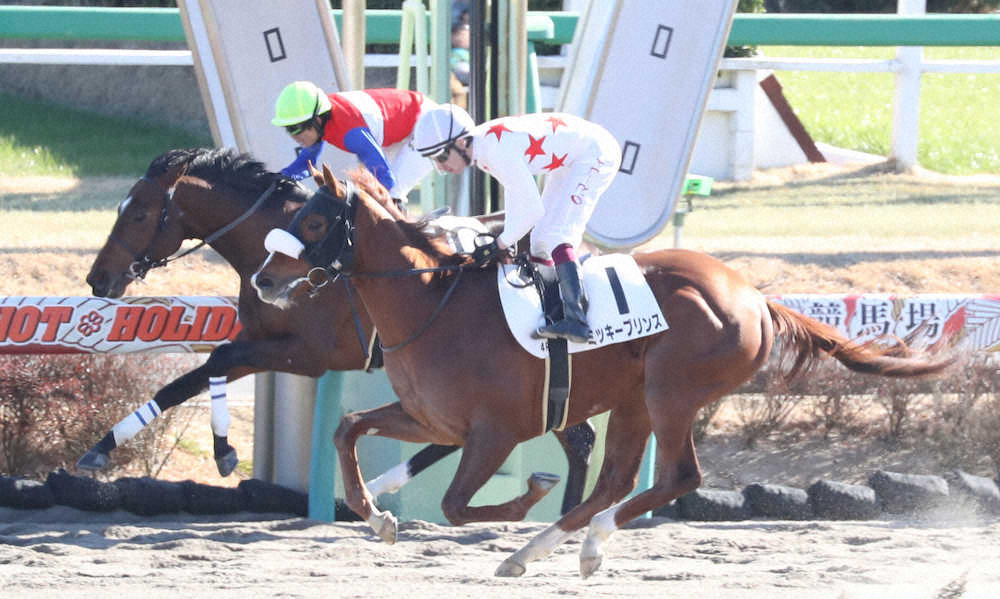 【画像・写真】【中山新馬戦】プリンス　豪快差し切りV!マーフィー「素直で一生懸命」