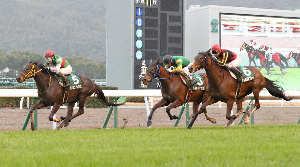 【画像・写真】【愛知杯】53歳・善臣導いた!7歳アンジュ“Vロード”重賞3勝目