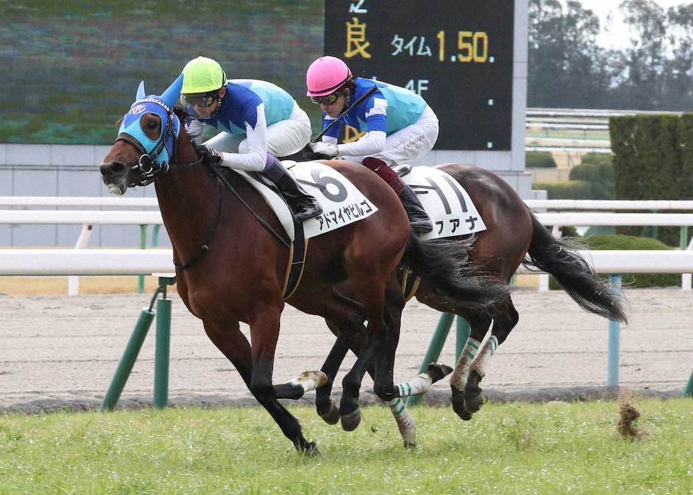 ＜京都競馬新馬戦＞フアナ（右）に3/4馬身差をつけデビュー戦で勝利のアドマイヤビルゴ