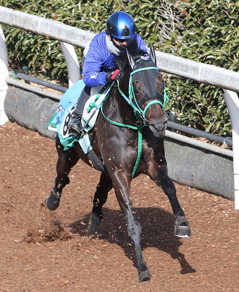 【画像・写真】【東海S】エアアルマス、軽快に12秒0　1年3カ月ぶりコンビの松山「いい状態」