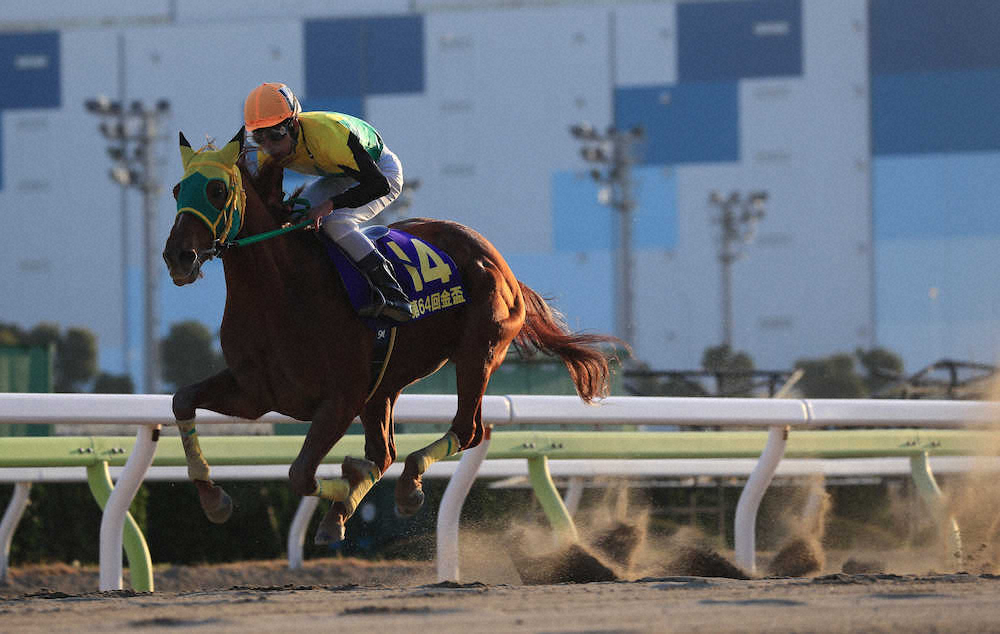 【画像・写真】【大井・金盃】10歳トゥルー、8馬身差圧勝連覇！森「完璧な競馬」