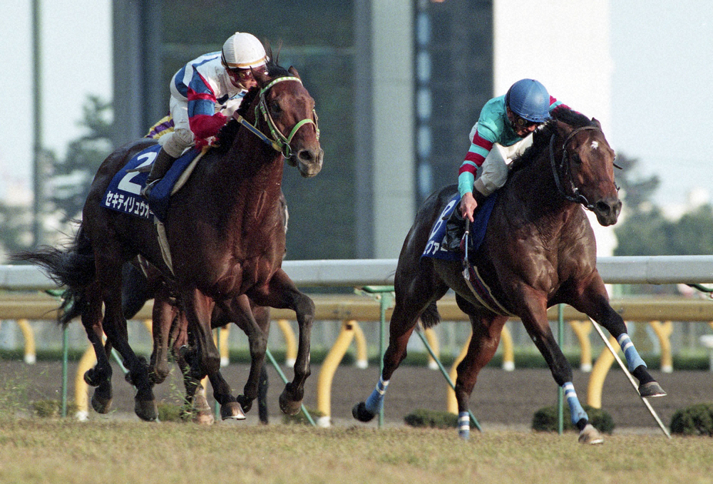 1993年天皇賞・秋、鼻差で敗れた田中勝騎乗のセキテイリュウオー（左）