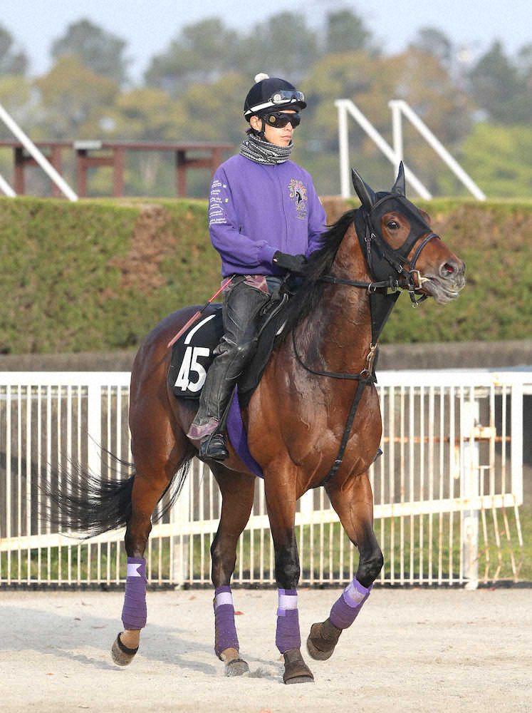 【画像・写真】【節分S】良血馬ウーリリが鼻差競り勝って待望のオープン入り