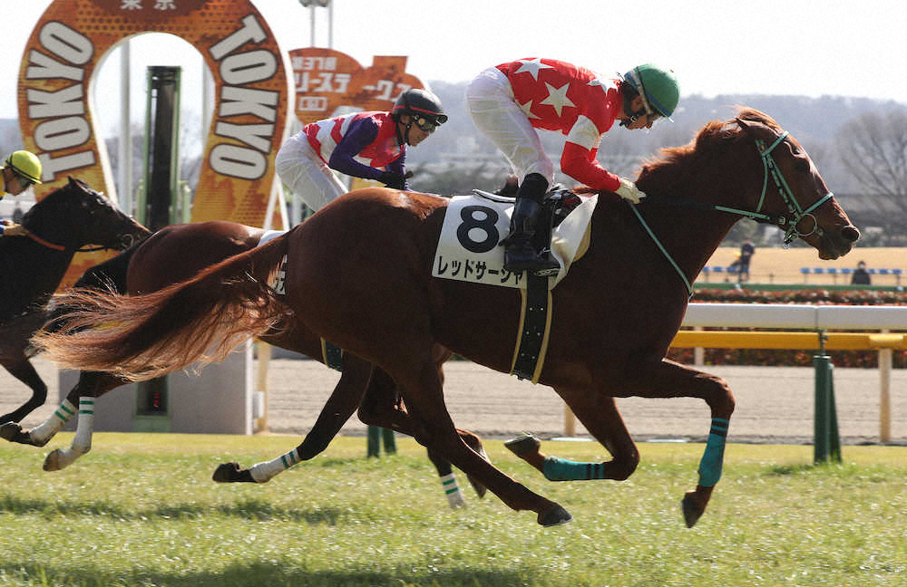【画像・写真】【東京新馬戦】レッドサーシャV!内田称賛「今後が楽しみ」