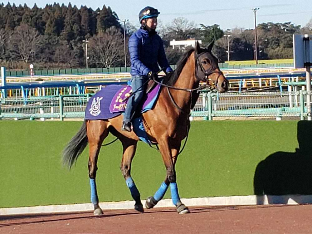 【画像・写真】2月28日から美浦トレセンで馬場入りを再開したアーモンドアイ（撮影・小田　哲也）