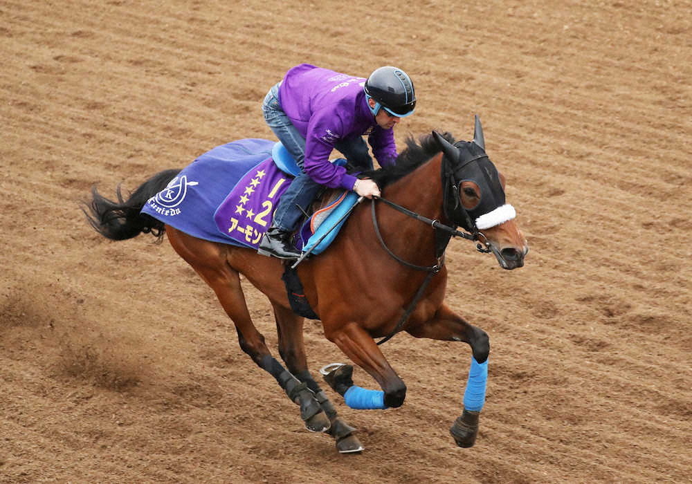 【画像・写真】アーモンドアイ、ドバイターフへ軽快　ルメールも絶賛