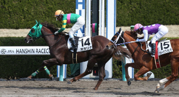 阪神2r オカリナで勝利しjra通算500勝を達成した古川吉洋騎手 中央 左から斉藤新騎手 高田潤騎手 鮫島克駿騎手 一人空けて 浜中俊騎手 藤岡佑介騎手 城戸義政騎手 撮影 亀井 直樹 スポニチ Sponichi Annex ギャンブル