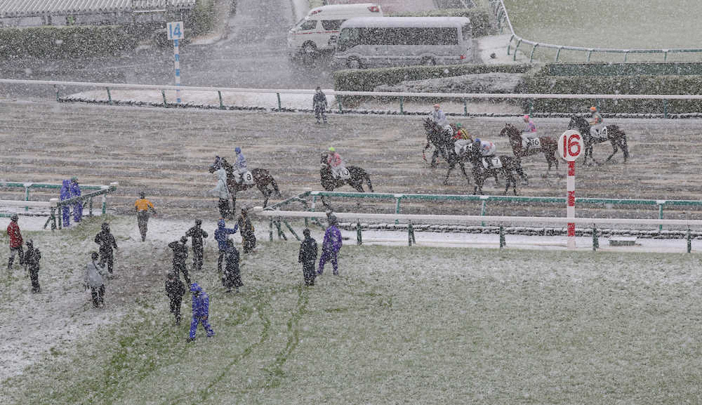 ＜中山競馬3R＞降雪で中止となり引き揚げる3R出走予定だった馬（撮影・郡司　修）