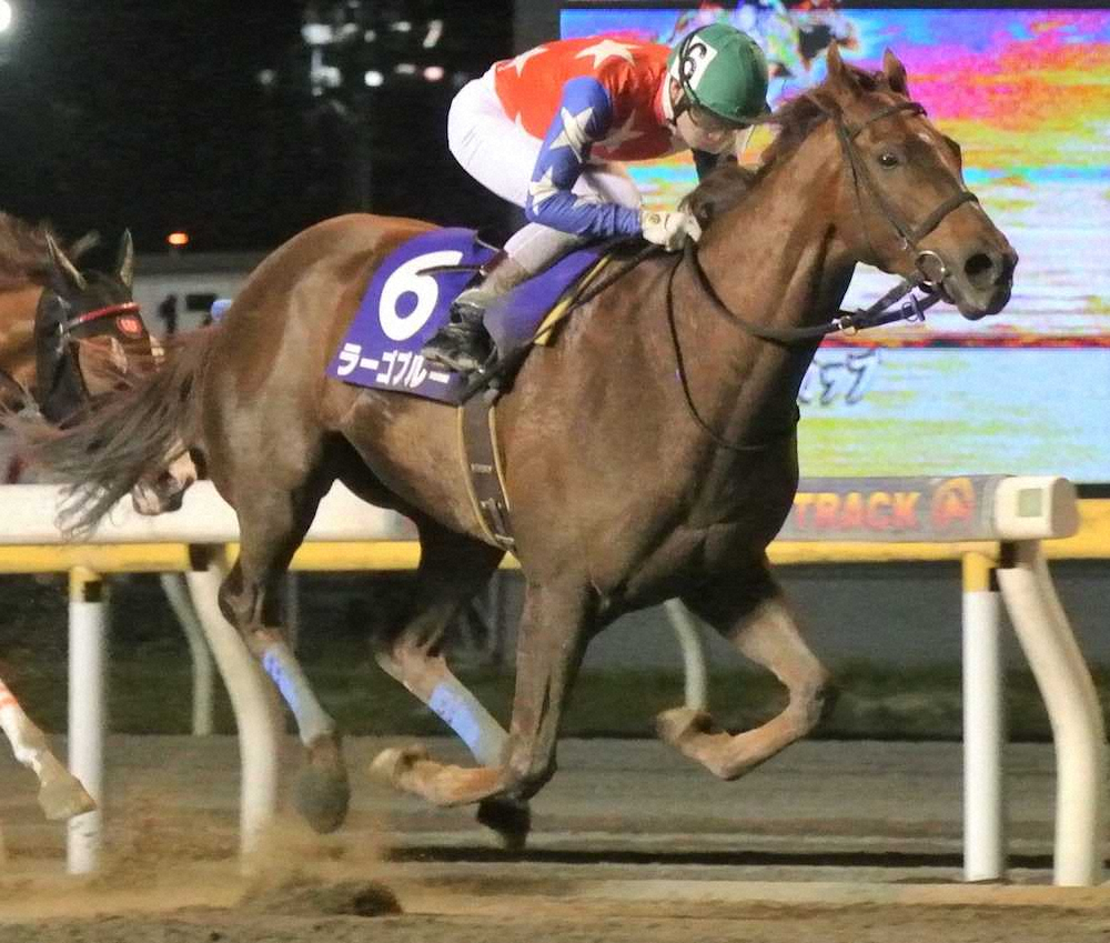 【画像・写真】きょう船橋ケイバ「マリーンカップ」ゲートイン　地方馬巻き返しなるか