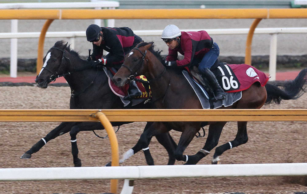 【画像・写真】【桜花賞1週前追い】クラヴァシュドール　終始余力を残しで併入「動きは良かった」