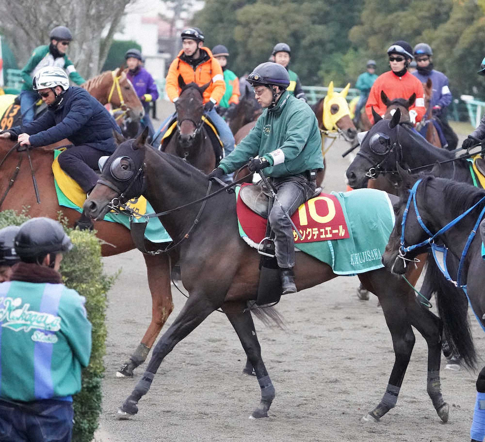 【画像・写真】【桜花賞1週前追い】サンクテュエール　馬なり楽々併入!藤沢和師「順調だね」