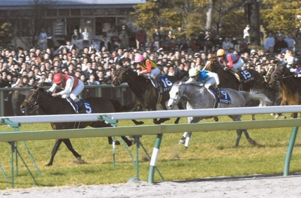 【画像・写真】02年の高松宮記念を制したショウナンカンプ（左）