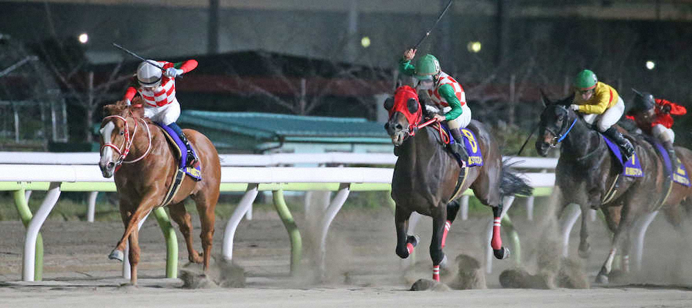 【画像・写真】【大井・東京スプリント】ジャスティン　逃走重賞初V!矢作師も納得「プラン通り」