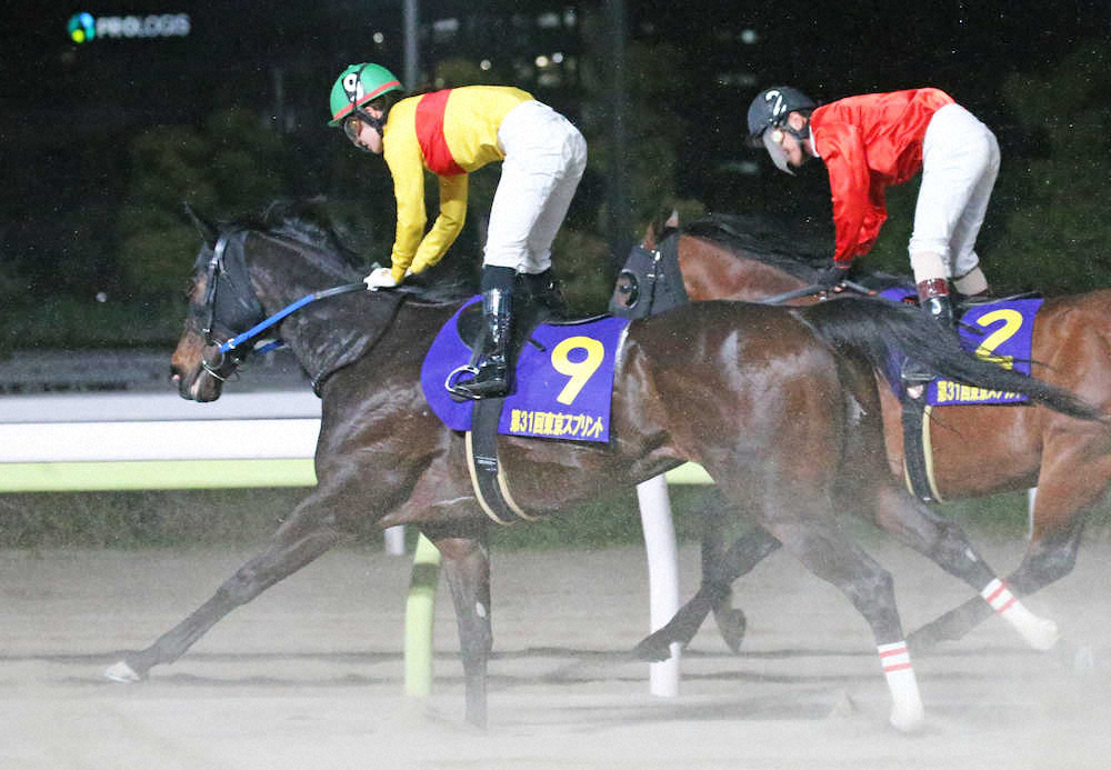 【画像・写真】【大井・東京スプリント】菜七子キッキング　失速5着…断然1番人気も重賞で復帰初V逃す