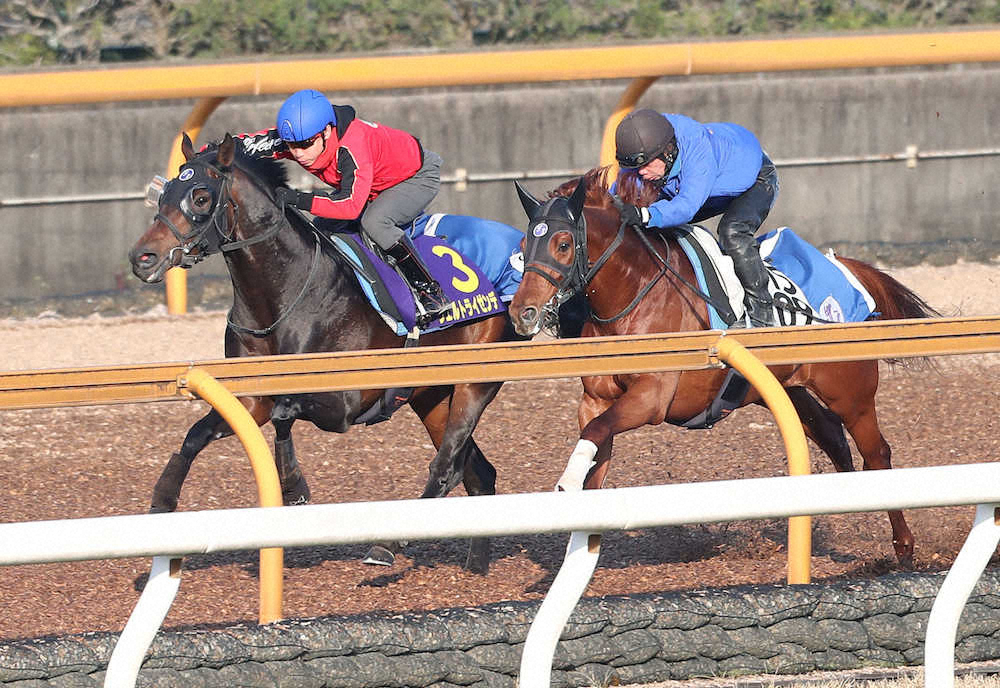 【画像・写真】【皐月賞1週前追い】ヴェルトライゼンデ、気合入れ一変　池添も前向き