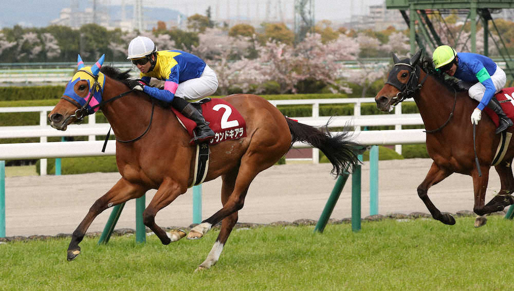 ＜阪神牝馬S＞2着に1馬身半の差をつけ勝利したサウンドキアラ（左）（撮影・奥　調）