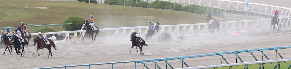 ＜京都競馬　1R＞4コーナーを周ったところで合計5頭が落馬　（撮影・奥　調）
