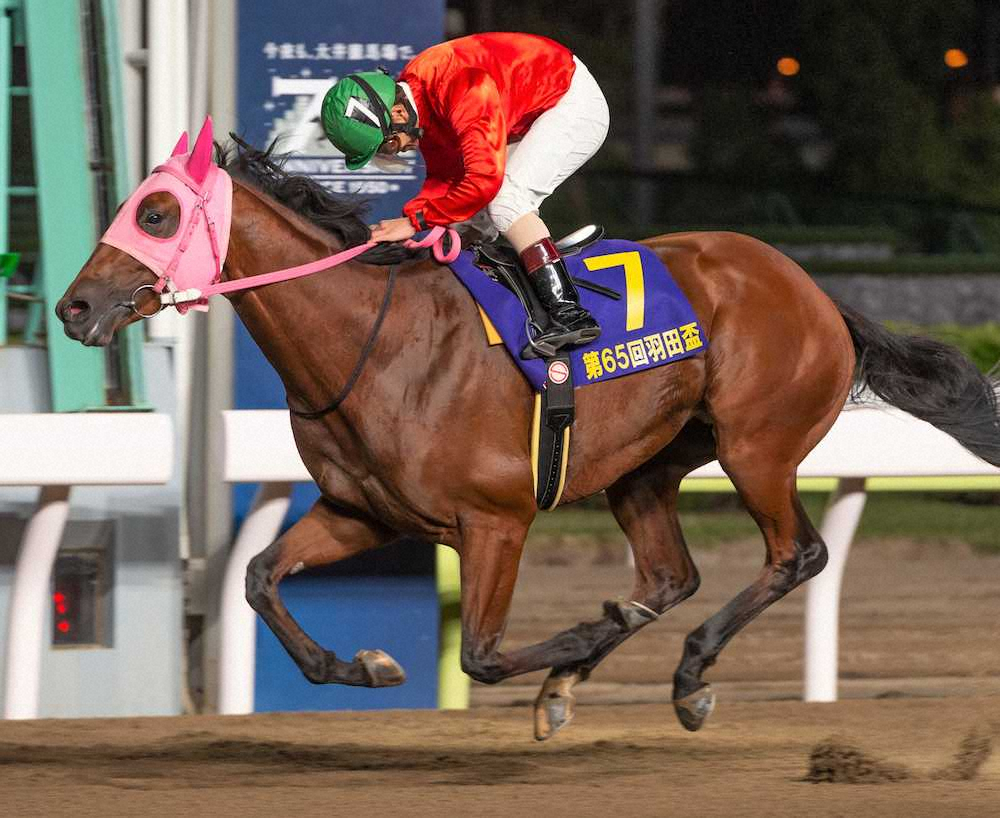 【画像・写真】【大井・羽田盃】ホイヤーまず1冠!山崎誠＆岩本師ダービー連覇へ視界良好