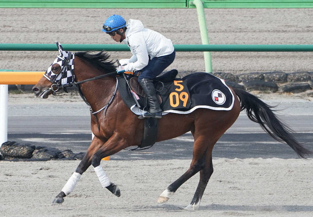 【画像・写真】戸崎　半年ぶり調教再開!レース復帰未定も笑顔「やっぱりいいもんですね」