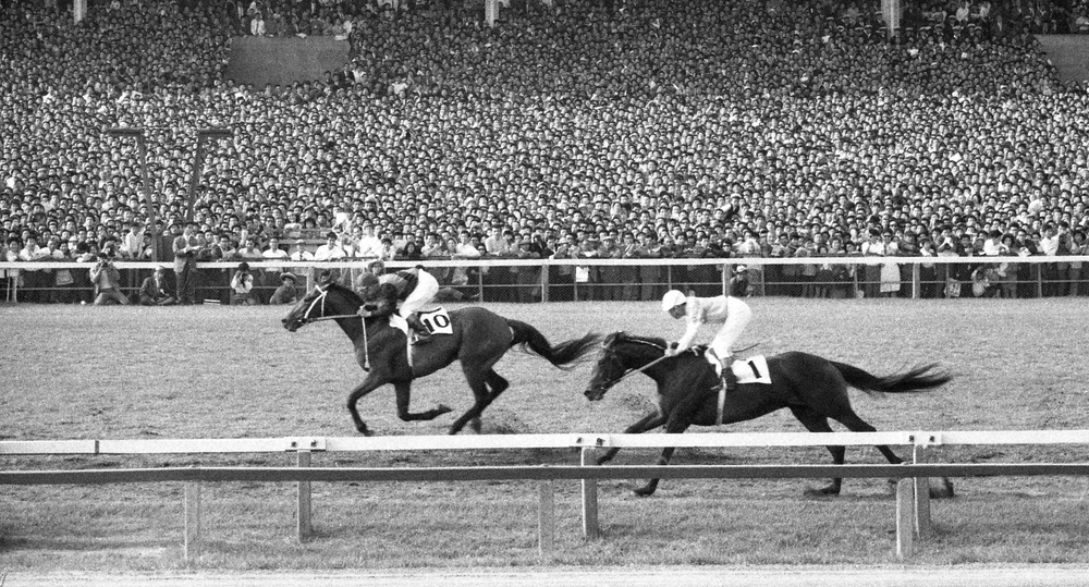 1964年5月31日、第31回日本ダービーを制したシンザン（左）。その後、菊花賞も勝ち戦後初のクラシック三冠馬に
