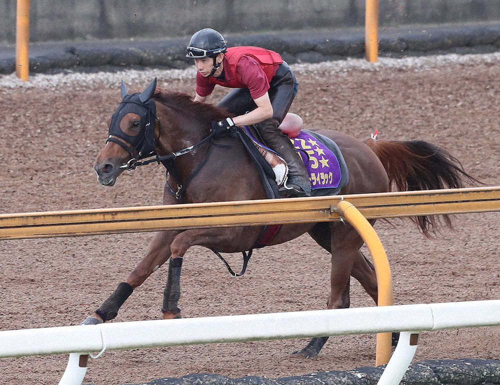 【画像・写真】【宝塚記念2週前追い】ラッキーライラック順調　松永幹師「来週もしっかりとやる予定」