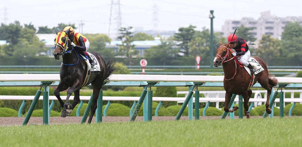 ＜阪神5R・2歳新馬＞直線で後続を突き放し勝利するフラーズダルム（左）（撮影・亀井　直樹）