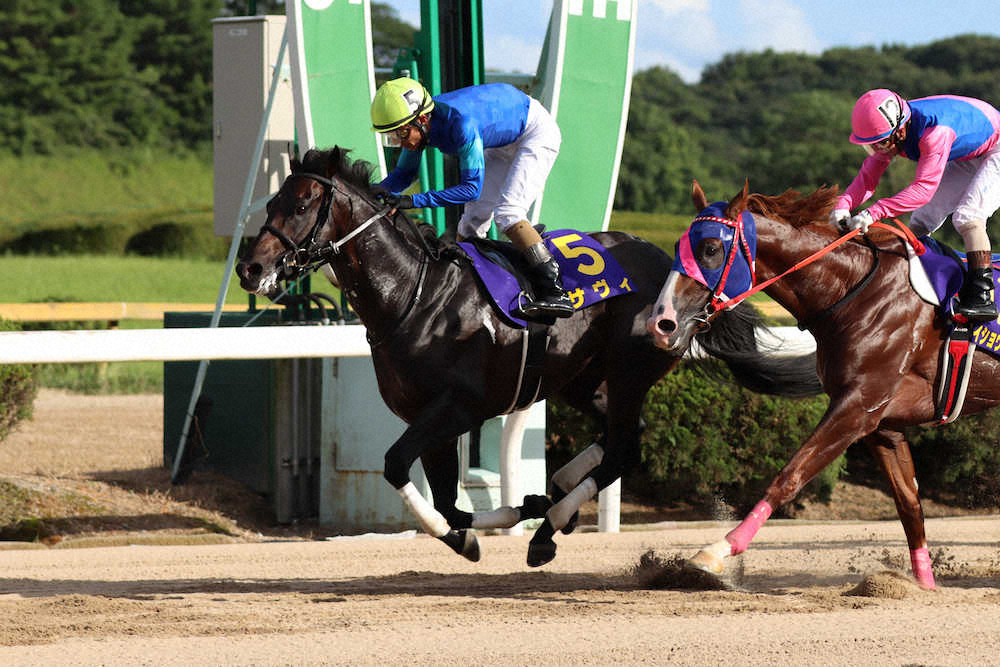 【画像・写真】【佐賀サマーチャンピオン】サヴィ重賞初V!和田竜「秋でも大きなところを期待できる」