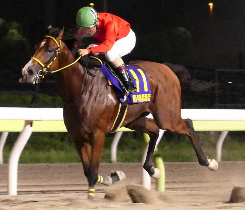 【画像・写真】【大井・黒潮盃】伏兵インペリシャブル復活V！2着に6馬身差をつけた