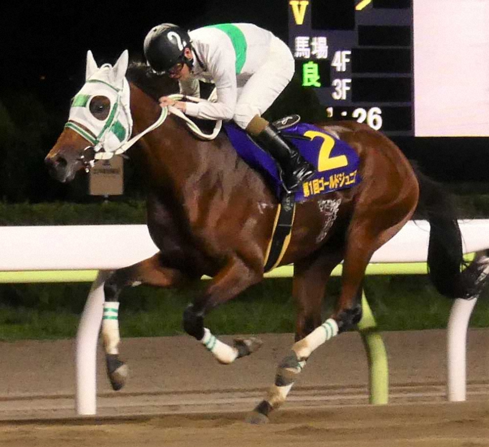 【画像・写真】【大井・ゴールドジュニア】アランバローズ　無傷3連勝で重賞初V!左海「先が楽しみ」