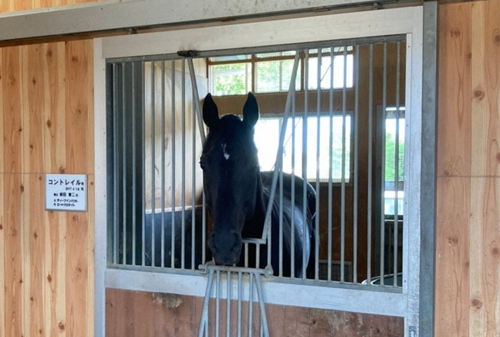 【画像・写真】秋初戦制覇から一夜、療養するコントレイル