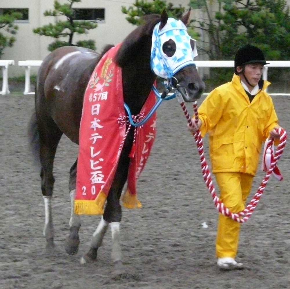【画像・写真】【船橋ケイバ列伝「日本テレビ盃」編】“ダート競馬の祭典”JBCへの優先出走権を賭けた戦い