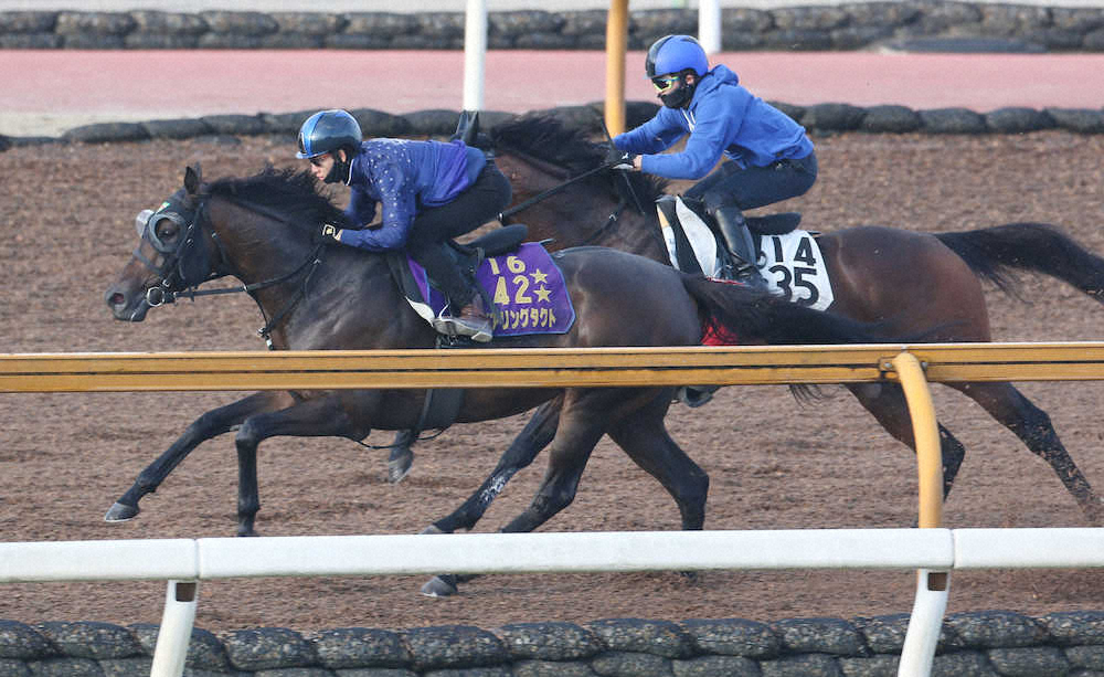 【画像・写真】【秋華賞2週前追い】デアリングタクト先着　折り合い面成長