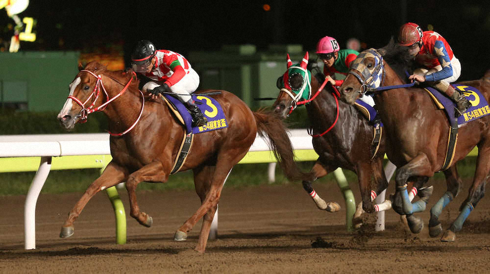 【画像・写真】【大井・東京盃】ジャスティン　重賞2勝目!JBCへ自信の同舞台連勝「思い通りに進められた」