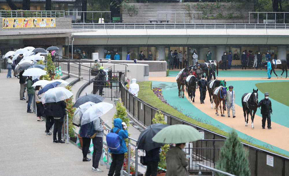東京競馬場でパドックを周回する出走各馬を見る観客（撮影・郡司　修）
