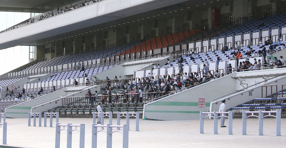 京都競馬場は有観客での開催となり、スタンドからレースを見守る観客（撮影・亀井　直樹）