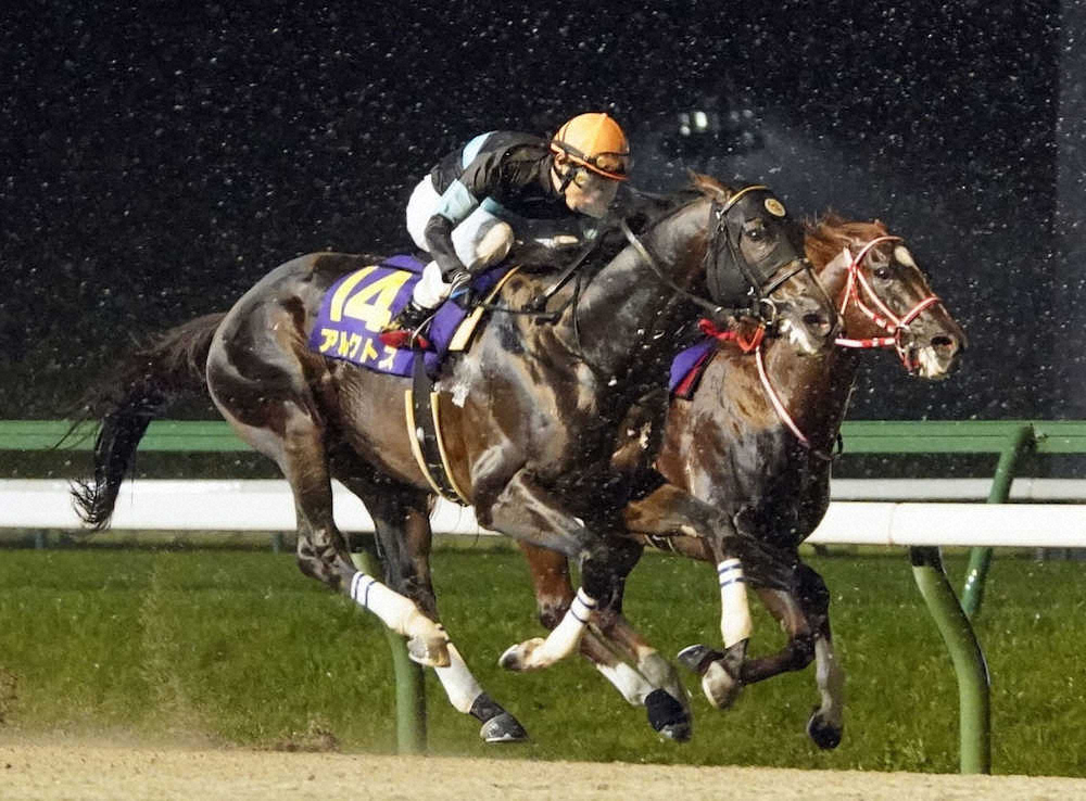 【画像・写真】【盛岡・南部杯】アルクトス　日本レコードV!G1初制覇に田辺も感無量「やっと手が届いた」
