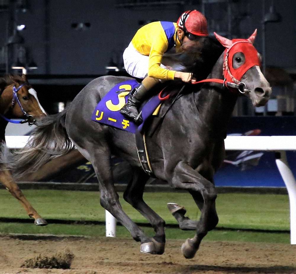 【画像・写真】【川崎・鎌倉記念】リーチ、一気に差し切り重賞連勝！