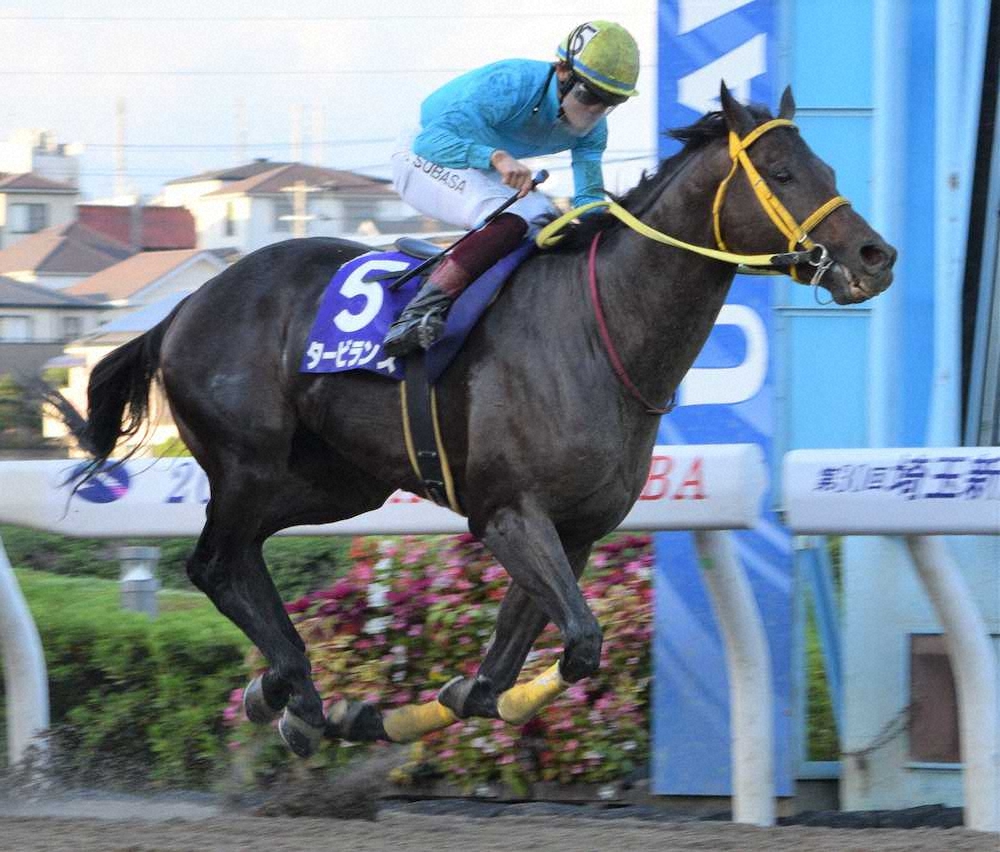 【画像・写真】【浦和・埼玉新聞栄冠賞】タービランスV！笹川の好騎乗、惜敗続きに終止符