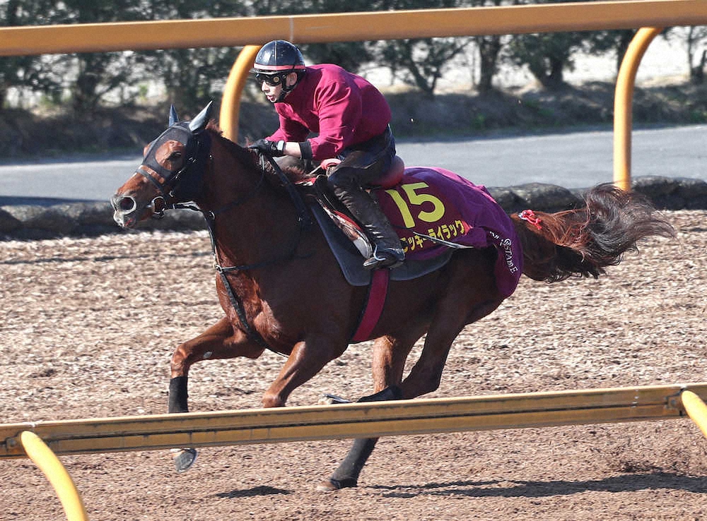 【画像・写真】【エリザベス女王杯1週前追い】ラッキーライラック、併走馬を置き去り　好時計もマーク