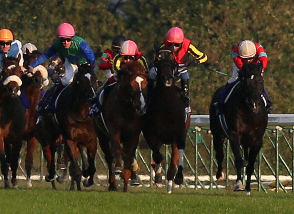 2012年のJCでジェンティルドンナ（右から２頭目）の馬体がオルフェーヴル（右から３頭目）に当たる（撮影・吉田　剛）